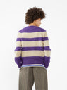 A Dance in the Jungle Sweater Purple & Beige Stripe