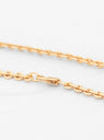 Pina 14k Gold Plated Necklace