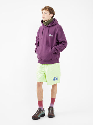 Big Basic Water Shorts Pistachio by Stüssy | Couverture & The Garbstore