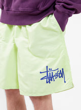 Big Basic Water Shorts Pistachio by Stüssy | Couverture & The Garbstore