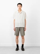 Classic Shorts Taupe Grey Stripe mfpen on model 