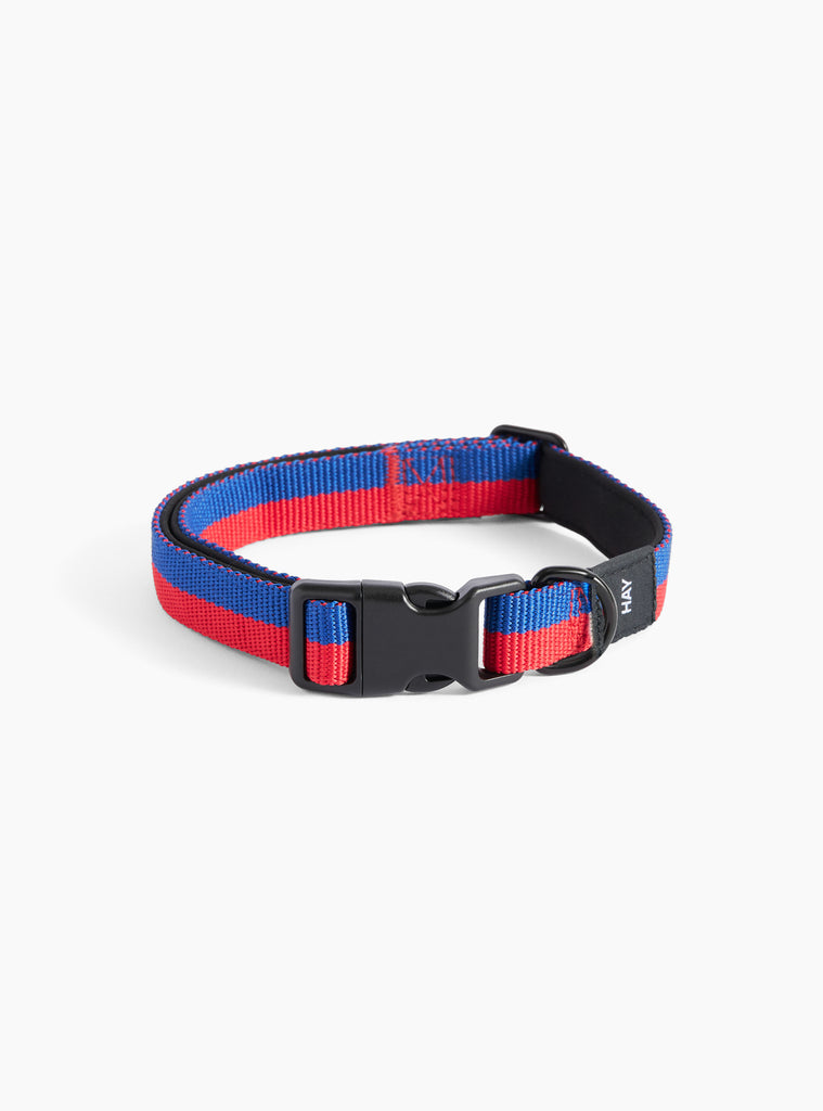 dog collar blue red 