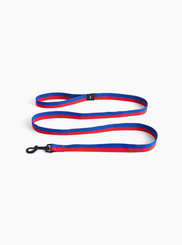 flat leash blue/red