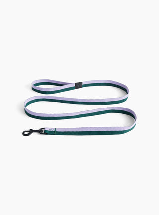 flat leash green/lavender 