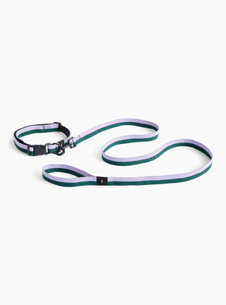 Flat Leash Green/Lavender by Hay | Couverture & The Garbstore