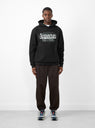Acupuncture Hoodie Black Mount Sunny on Model 