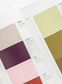 A Dictionary Of Colour Combinations Volume 2