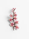 The Sakura Brooch from Trovelore at Couverture & The Garbstore
front 