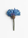 The Blue Cornflower Brooch from Trovelore at Couverture & The Garbstore
front 