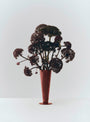 Conical Vase M Rose/Dark Red