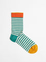 The Stripes Socks Canard