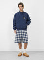 The Plaid Beach Short from Stüssy comes in Blue at Couverture & The Garbstore
model front