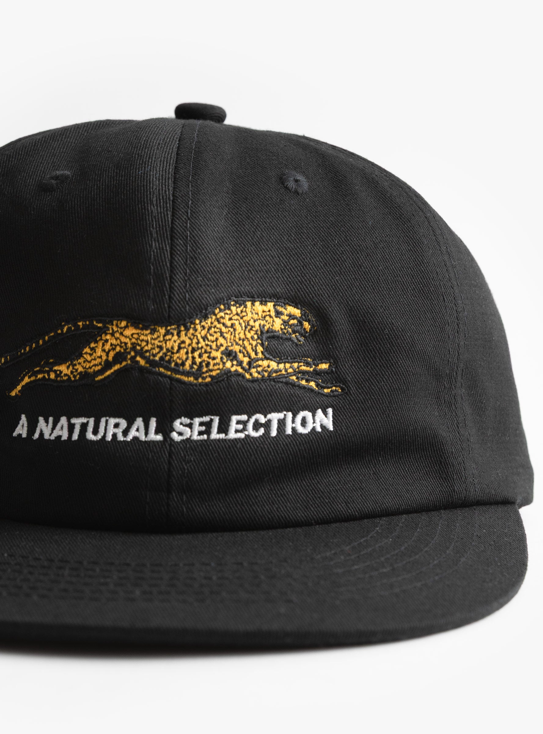 Natural Selection Cap Black Black BROTHER BROTHER (embroidery detail) at Couverture & The Garbstore