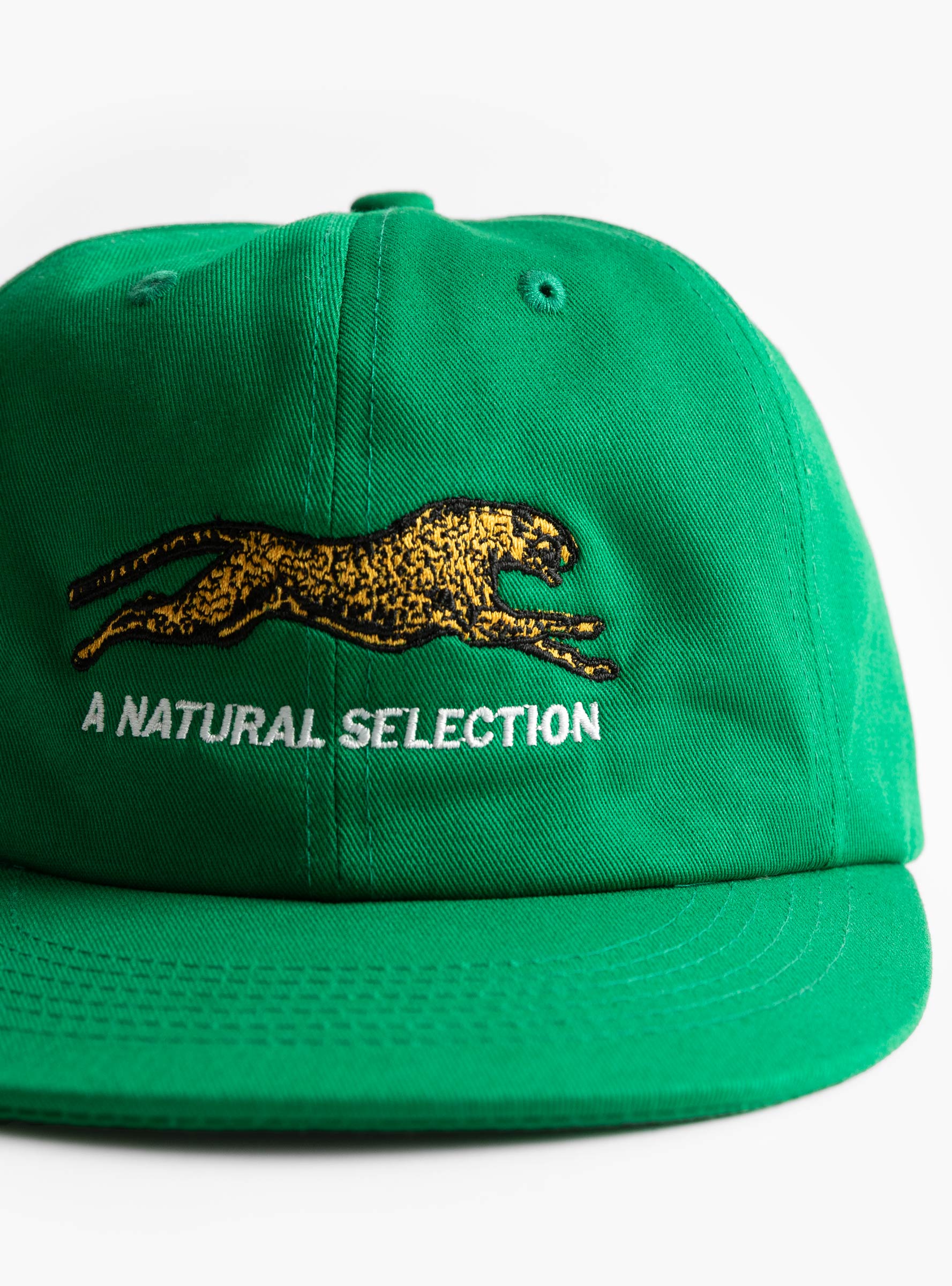 Natural Selection Cap Pine Green Pine Green BROTHER BROTHER (embroidery detial) at Couverture & The Garbstore
