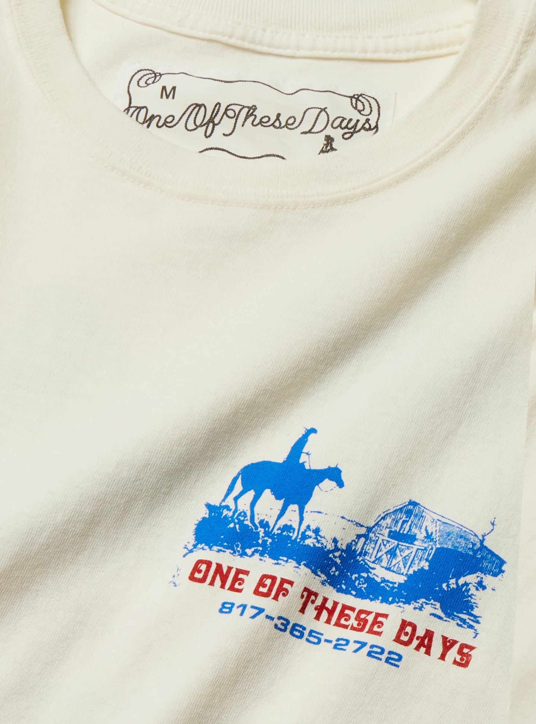 Trail of Dust Tee Bone ONE OF THESE DAYS (Detail) at Couverture & The Garbstore