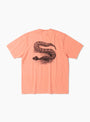 The Serpent Pig Dyed Tee Sherbert from Stüssy at Couverture & The Garbstore
back