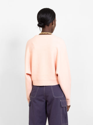 Verne Jumper Pink by LF Markey by Couverture & The Garbstore