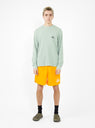 Big Basic Water Shorts Citrus by Stüssy by Couverture & The Garbstore