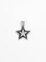 Silver Star Pendant Necklace by Maple by Couverture & The Garbstore