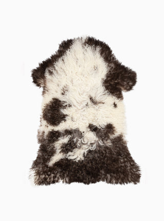Austrian Curly Sheepskin Rug Multi by Natures Collection | Couverture & The Garbstore